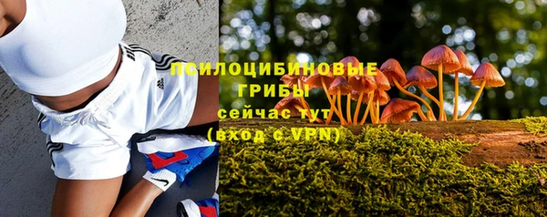 MESCALINE Верхний Тагил